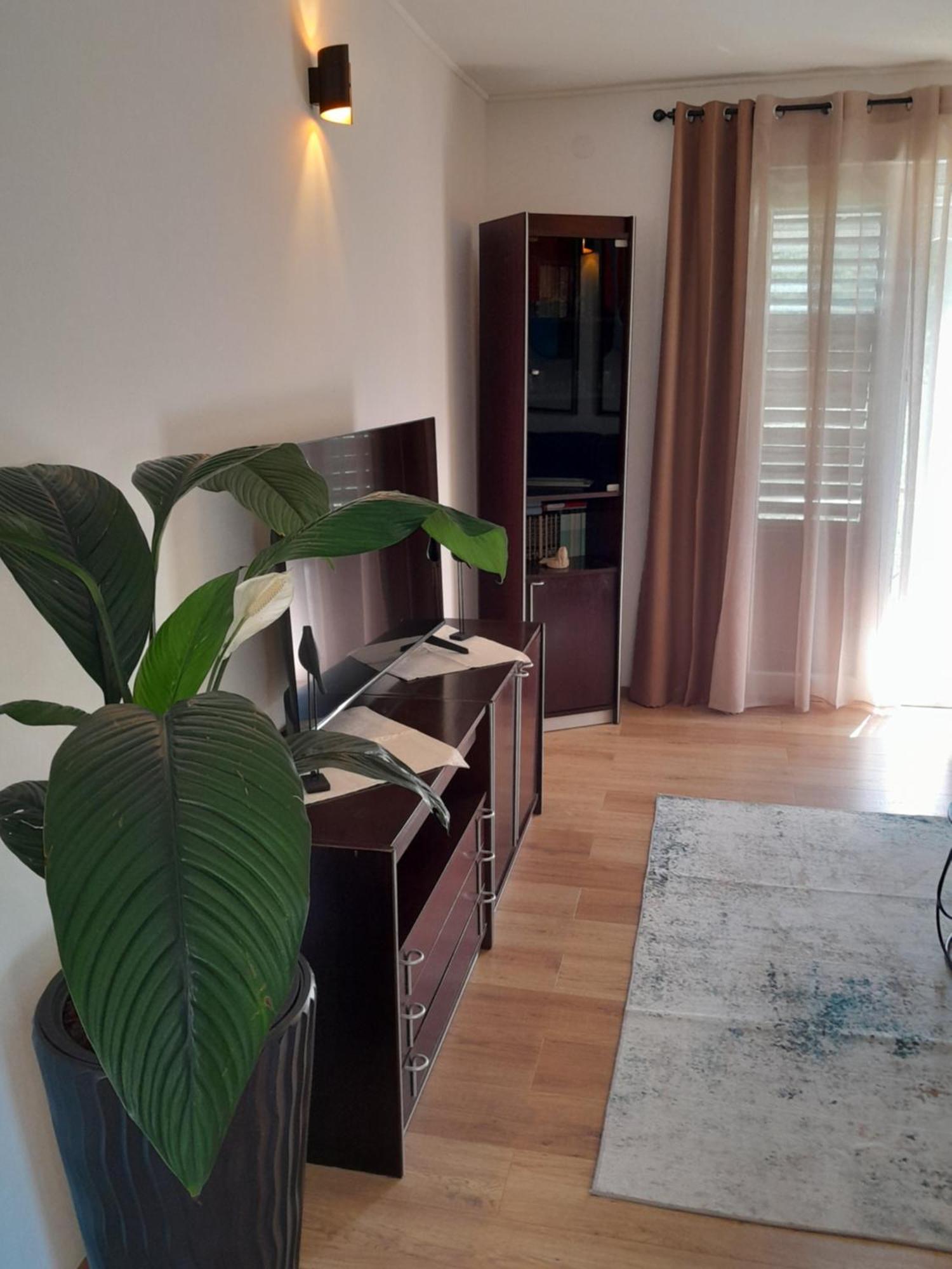 Apartment Rozic *